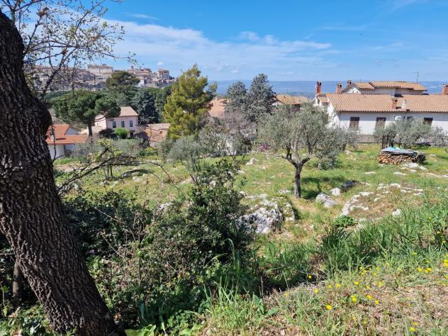 Terreno edificabile in vendita a Lugnano in Teverina - Foto 2