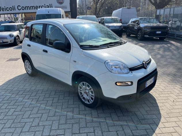 FIAT Panda 1.0 FireFly 70cv S&S Hybrid - Foto 3