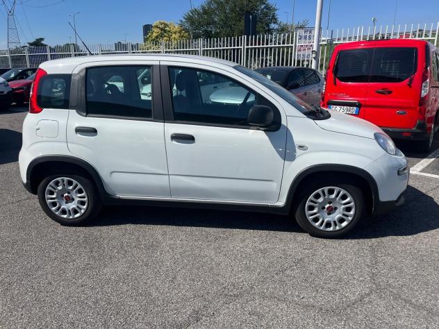 FIAT Panda 1.0 FireFly 70cv S&S Hybrid - Foto 5