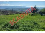 Immobile in asta di 5 m² in vendita a Casalciprano