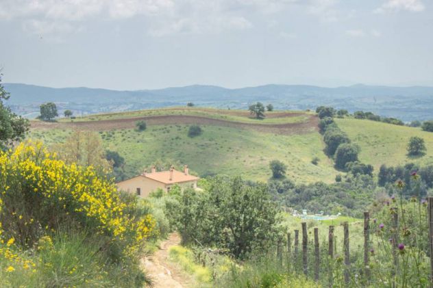 TOSCANA ..... Ovunque in Toscana - Foto 7