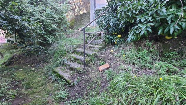 Agricolo in vendita a La Spezia - Foto 3