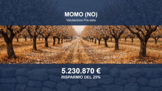 Immobile in asta di 2087774 m² in vendita a Momo