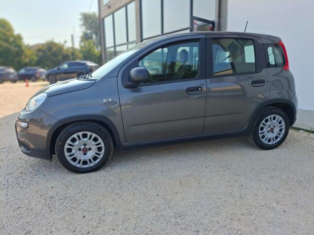 Fiat Panda 1.0 Hybrid - Foto 2