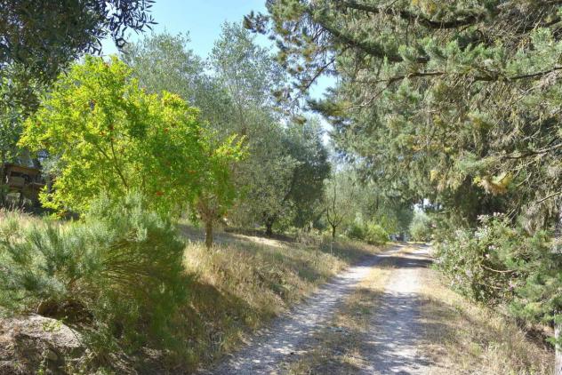 Singola in vendita a Baschi - Foto 10