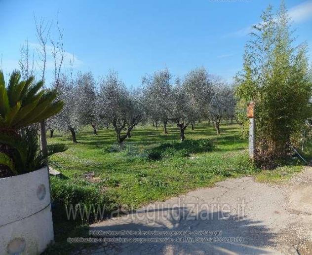 IMMOBILI-ALTRA CATEGORIA-Via Jugoslavia, 03011 Alatri FR, Italia,