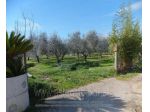 IMMOBILI-ALTRA CATEGORIA-Via Jugoslavia, 03011 Alatri FR, Italia,