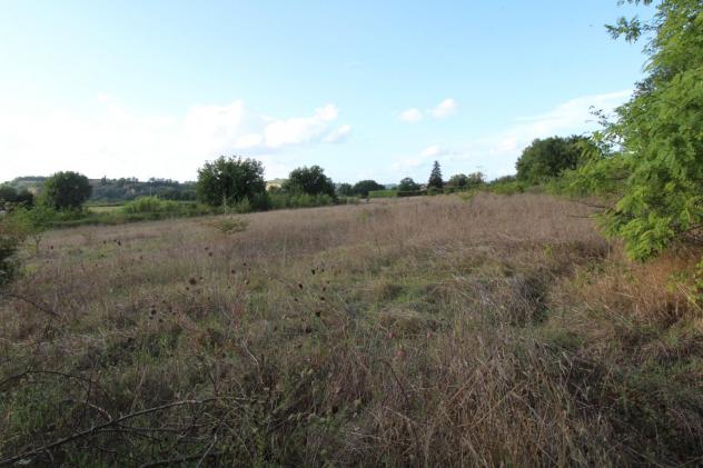 Terreno agricolo in vendita a Colle di Val d'Elsa 39460 mq Rif: 1339345 - Foto 4