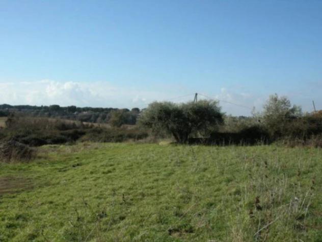 Immobile in asta di 6756 m² in vendita a Marino - Foto 4