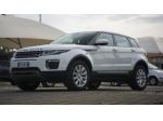 Land Rover Range Evoque 2.0 TD4 150 CV 5p. Business Edition Pure