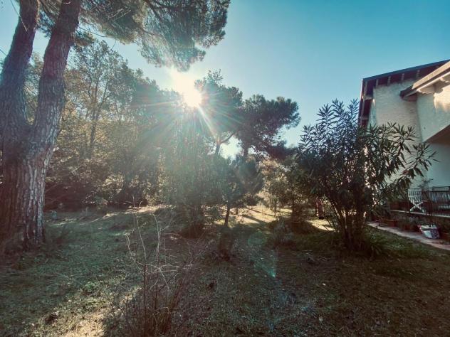 Casa singola in vendita a Marina di Massa - Massa 140 mq Rif: 1030288 - Foto 3