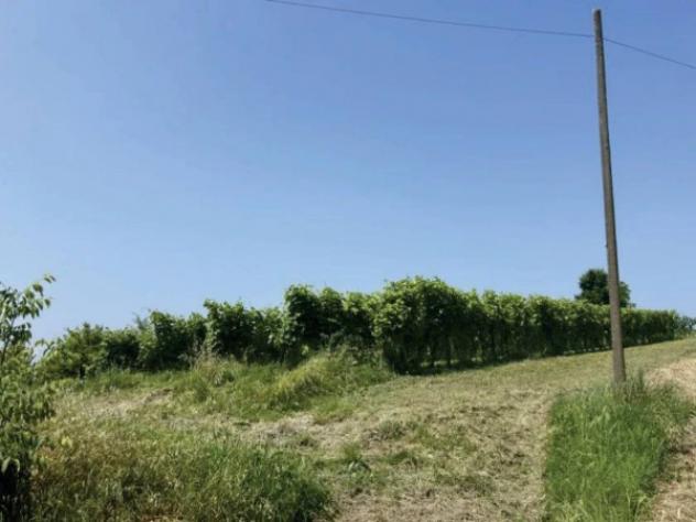 Immobile in asta di 688 m² con più di 5 locali e box auto in vendita a Vignale Monferrato - Foto 3