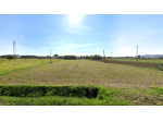 Terreno agricolo in vendita a Castelfranco di Sotto 7250 mq  Rif: 1311409