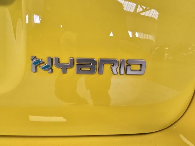 FIAT Panda Cross Panda Cross 1.0 FireFly S&S Hybrid Verde Foresta - Foto 7