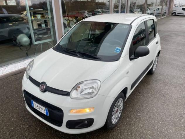 FIAT Panda 1.2 Pop rif. 23149545 - Foto 10