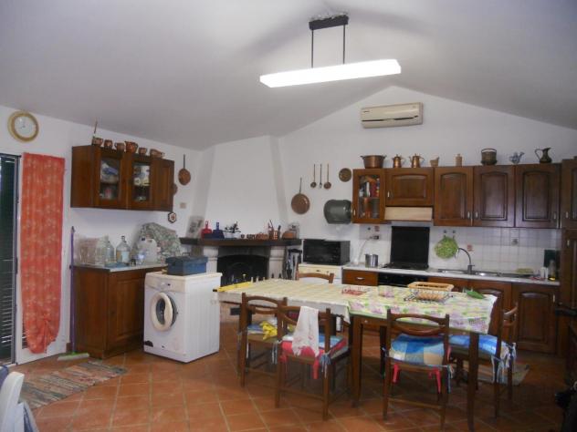 Terreno agricolo in vendita a Livorno 2000 mq Rif: 1023871 - Foto 8
