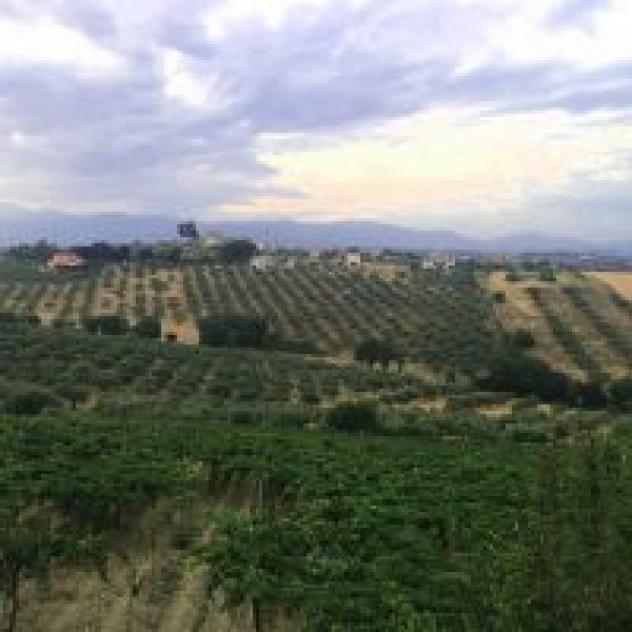 Poggio del Sole di Giacomo & C.
