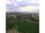 Poggio del Sole di Giacomo & C.