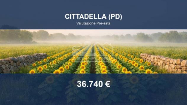 Immobile in asta di 2450 m² in vendita a Cittadella