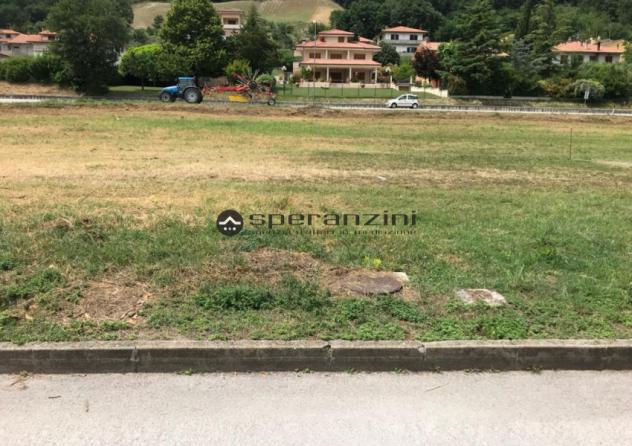 Lotti edificabili in zona residenziale di espansione, comune di colli al metauro
se sogni di costruire la tua casa ideale in un ambiente sereno e circ - Foto 3