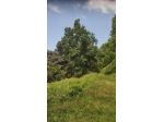 Rustico in vendita a Sant'Eustachio - Montignoso 60 mq  Rif: 1049882