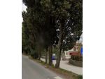 Capannone / Fondo in affitto a Rosignano Marittimo
