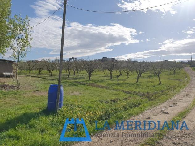 Terreno agricolo in vendita a Cerreto Guidi 21500 mq Rif: 1071586 - Foto 10
