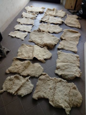 Pelli di Agnello o Pecora e 16 pezzi Nuove - Foto 2