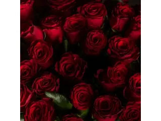 Amore e incontri Torino - Accompagnatore Elegante Per Donne Tel:33333333330