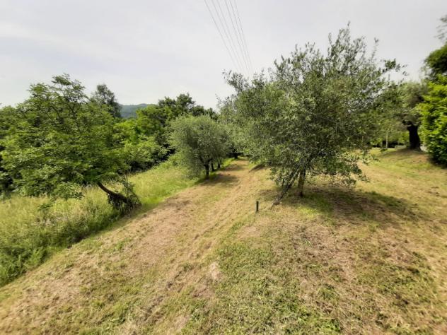 Terreno Agricolo - Roè Volciano . Rif.: 001 TA Trobiolo - Foto 8