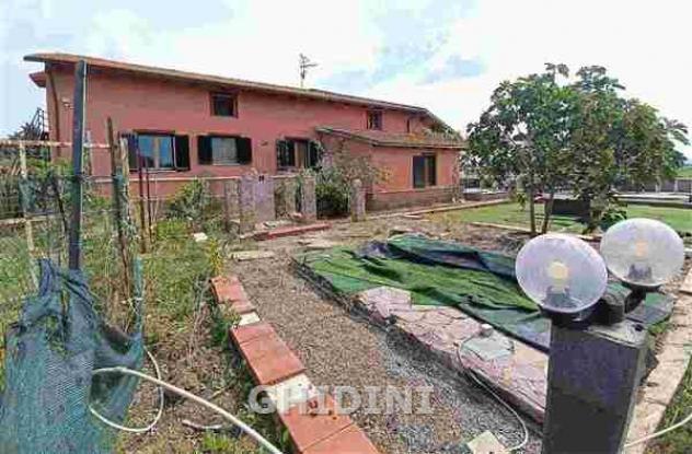 VILLA di 6 vani e di 130 mq (GROSSETO - POGGIALE) rif. 2425.167M - Foto 14