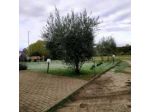 B&B Rolu
