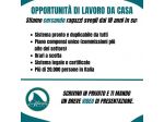 Consulente Commerciale Online (Smart Working / Orari Flessibili)
