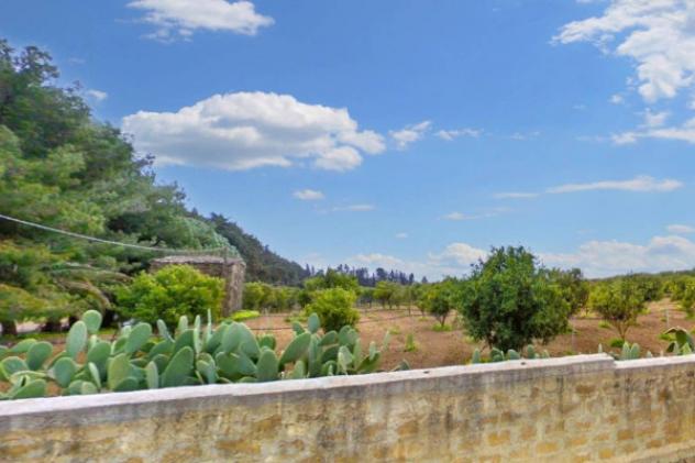 Immobile in asta di 27075 m² in vendita a Custonaci - Foto 9