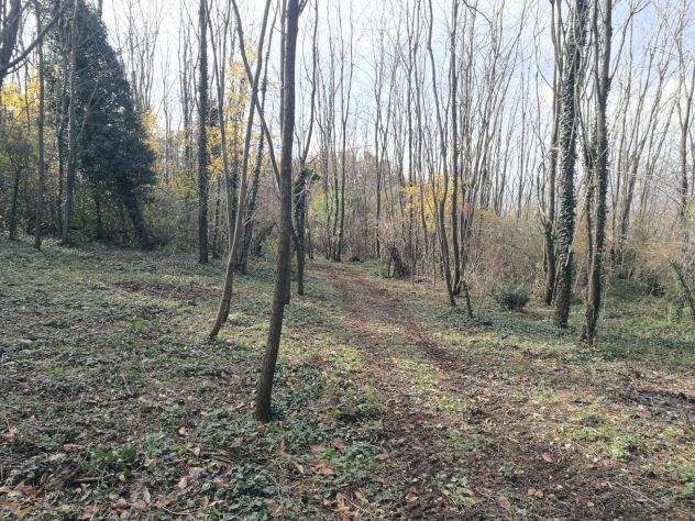 TERRENO CON AMPIO RUDERE - Foto 4