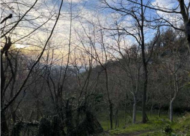 Immobile in asta di 14363 m² in vendita a Monzuno - Foto 2