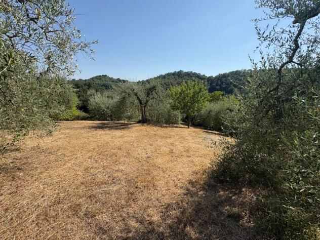 Terreno agricolo in vendita a Montecastello - Pontedera 5110 mq Rif: 1425459 - Foto 2