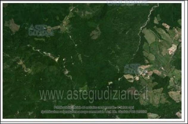 IMMOBILI-ALTRA CATEGORIA-Località Il Pantano - Foto 2