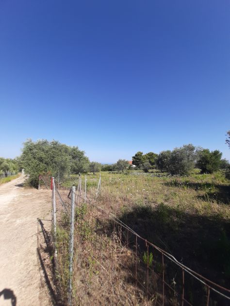 OLIVETO PAINEGGIANTE E VISTA MARE - Foto 6