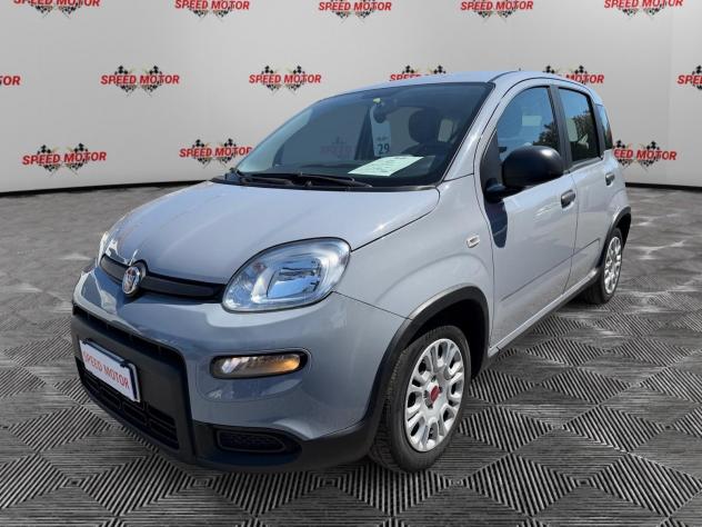FIAT Panda 1.0 FireFly 70cv Hybrid, CARPLAY, PRONTA CONSEGNA! - Foto 2