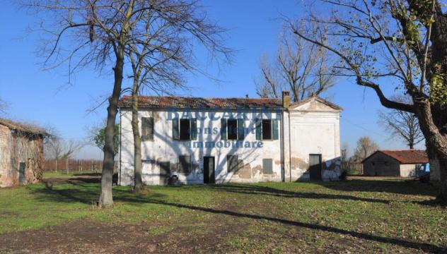 CASA INDIPENDENTE CON SERVIZI - FAENZA VIA MEDICA 3