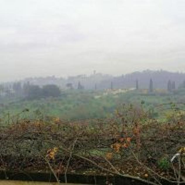 B&amp;B Villino Il Leone