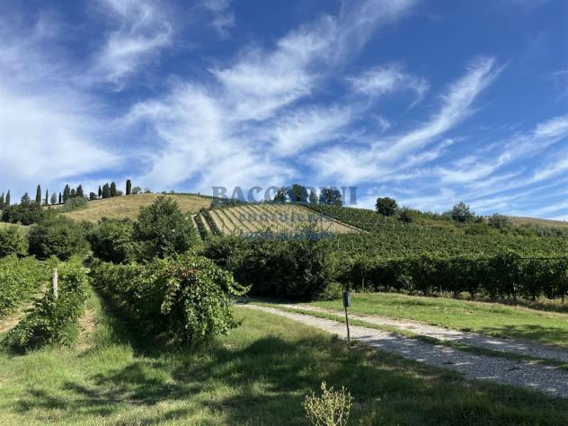 PODERE AGRICOLO CON CAPANNONE - BRISIGHELLA - FAENZA - VIA AGELLO E SANDRONA - Foto 5