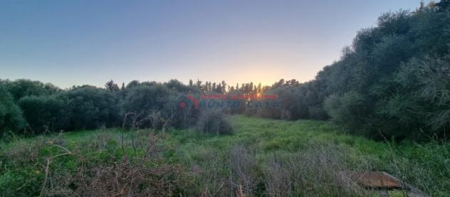 LOCOGRANDE – Terreno agricolo di 6.000 mq ca. Euro 15mila