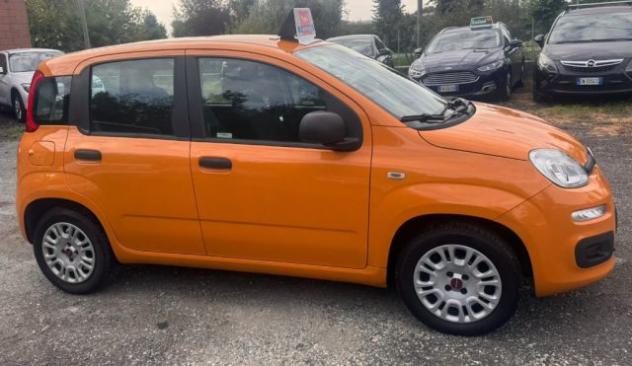 FIAT Panda 1.2 rif. 24113956 - Foto 10
