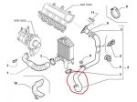 Tubo Intercooler Idea - Musa - Ypsilon 1.3 Multijet 51768138
