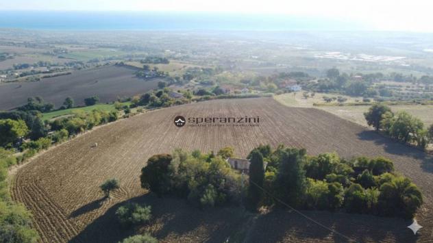 Cartoceto (pu) posizionato su un'altura che domina l'intera vallata del metauro fino alle principali spiagge di fano, non lontano dall'asse viario del - Foto 3