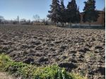 Agricolo in vendita a Jesi