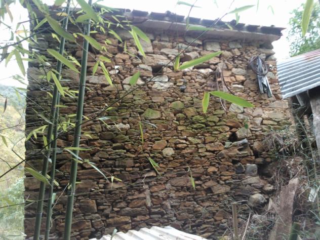 Collina di Pietrasanta-Rustico da ristrutturare con terreno Panoramico vista mare - Foto 10