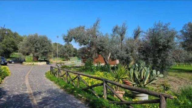 Immobile in asta di 5920 m² in vendita a Portigliola - Foto 9